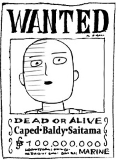 Onepunch-Man - Saitama in the One Piece Universe cover