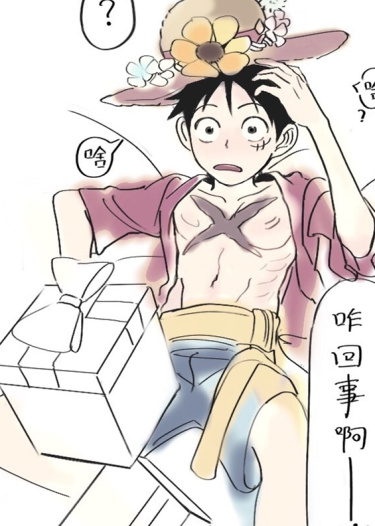 Luffy's birthday cover
