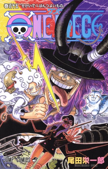 One Piece cover