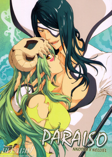 Bleach: Paraiso cover