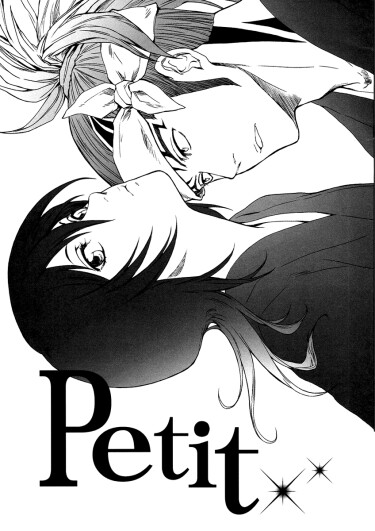 Bleach: Petit cover