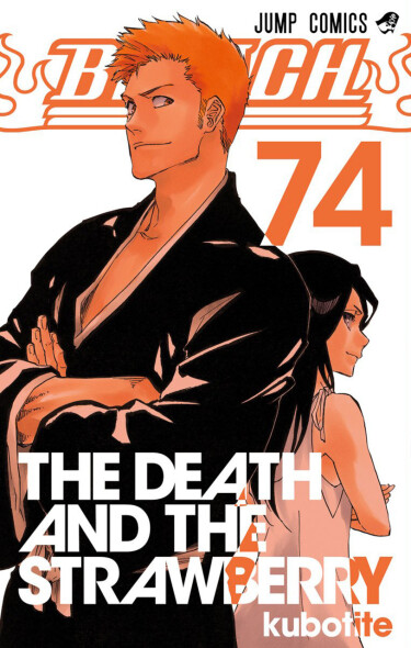 Bleach cover